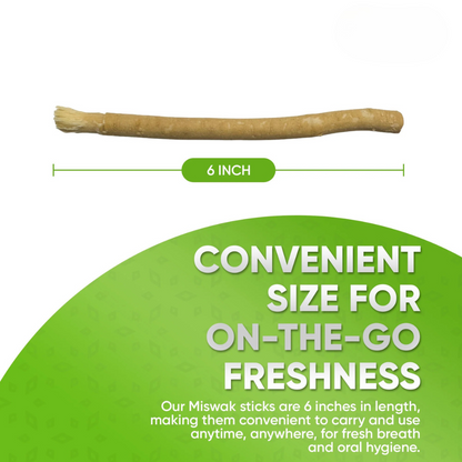 Miswak Traditional Toothbrush Stick